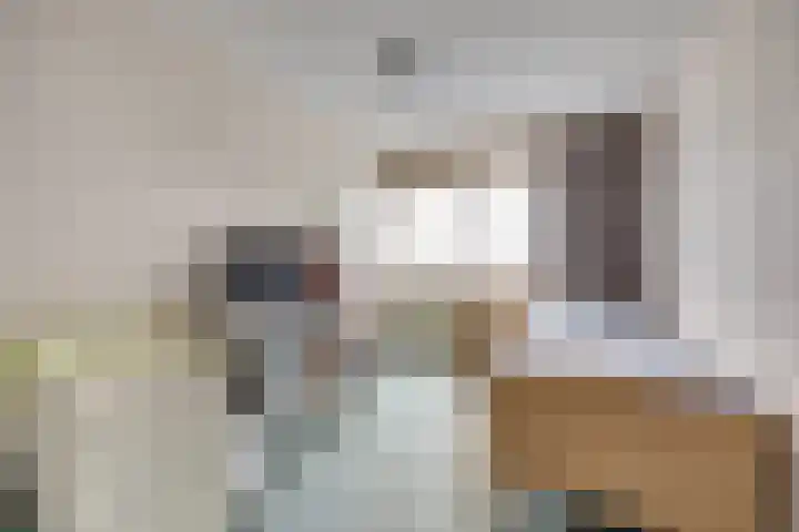 De Helm 3 Swifterbant thumbnail 21