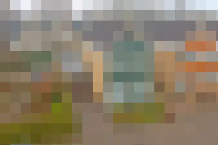 De Helm 3 Swifterbant thumbnail 32