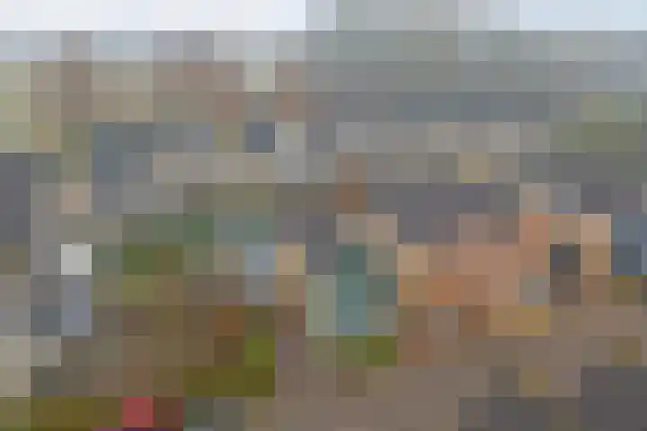 De Helm 3 Swifterbant thumbnail 33