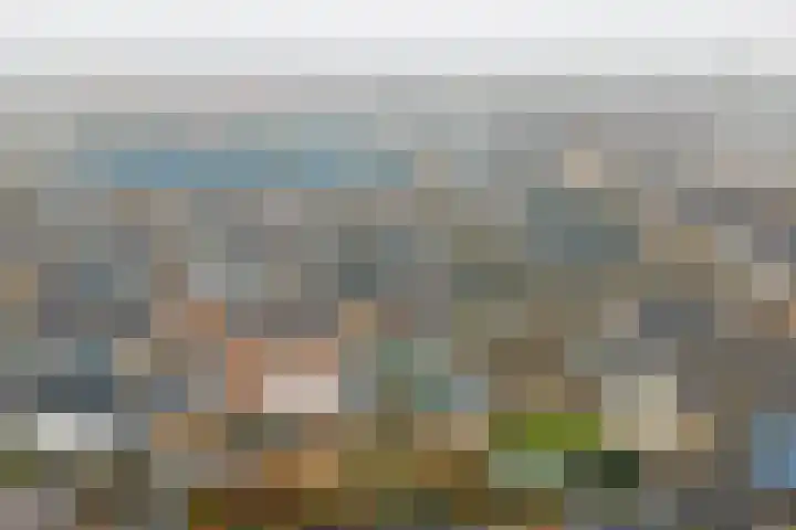 De Helm 3 Swifterbant thumbnail 34