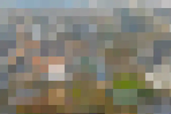 De Helm 3 Swifterbant thumbnail 35