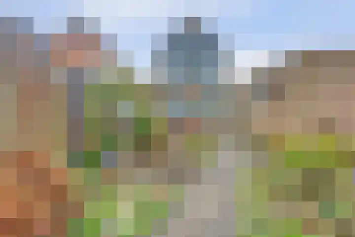 De Helm 3 Swifterbant thumbnail 36