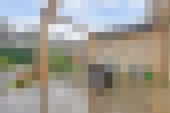 De Helm 3 Swifterbant thumbnail 37