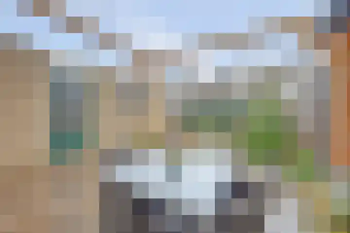 De Helm 3 Swifterbant thumbnail 38