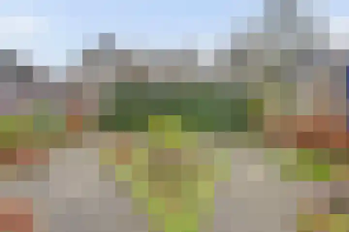 De Helm 3 Swifterbant thumbnail 39