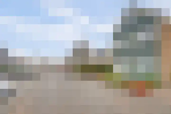 De Helm 3 Swifterbant thumbnail 41