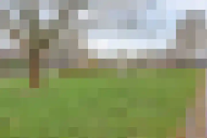 De Helm 3 Swifterbant thumbnail 43