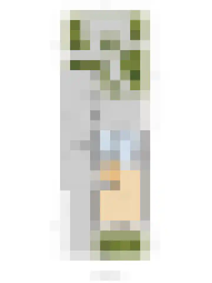 De Helm 3 Swifterbant thumbnail 44