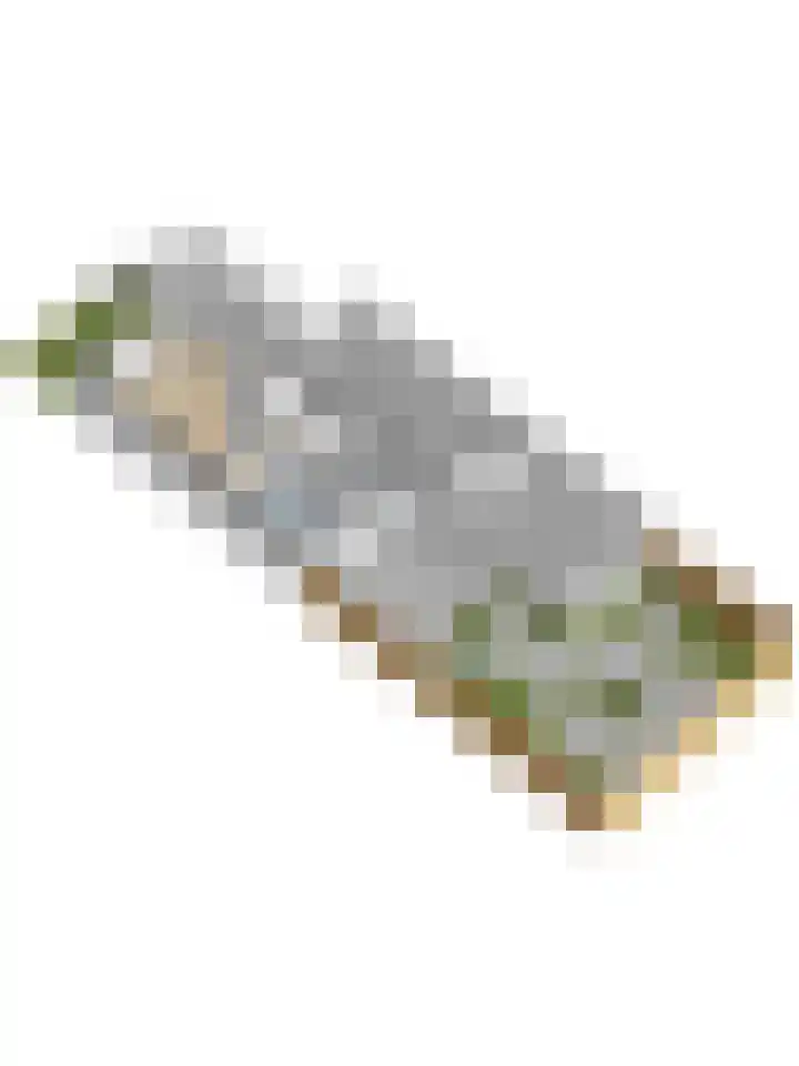 De Helm 3 Swifterbant thumbnail 48