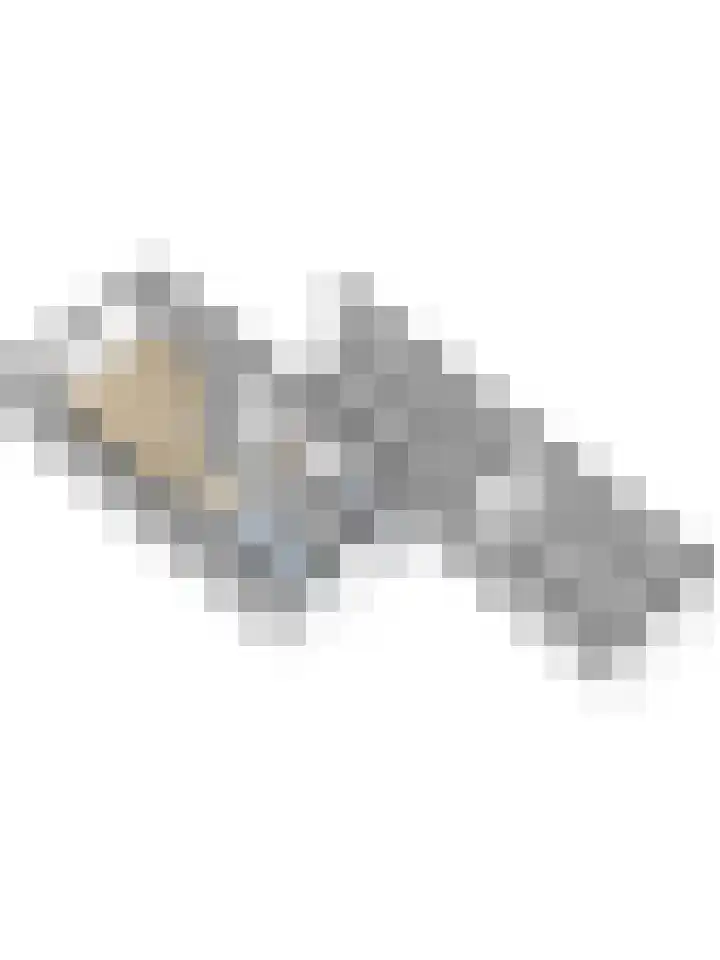 De Helm 3 Swifterbant thumbnail 49