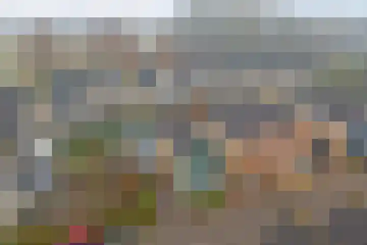 De Helm 3 Swifterbant thumbnail 5