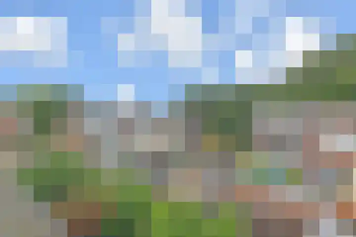 De Helster 35 Elst thumbnail 34