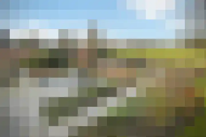 De Helster 35 Elst thumbnail 38