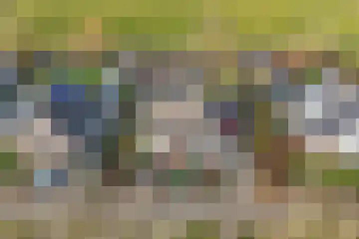 De Helster 35 Elst thumbnail 4