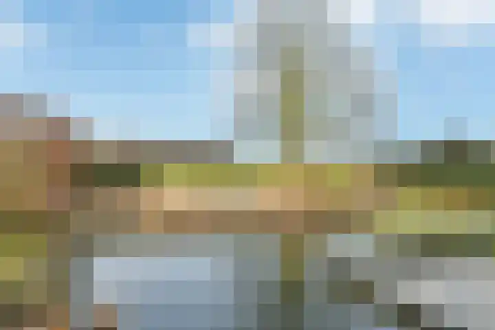 De Helster 35 Elst thumbnail 40