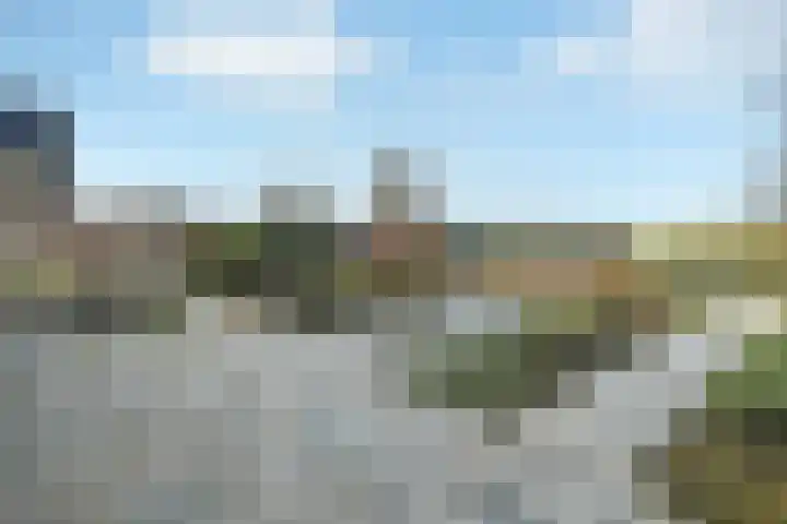 De Helster 35 Elst thumbnail 41