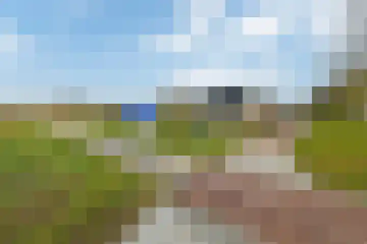 De Helster 35 Elst thumbnail 46