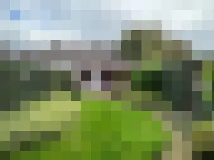 De Helt 2 Tuitjenhorn thumbnail 10