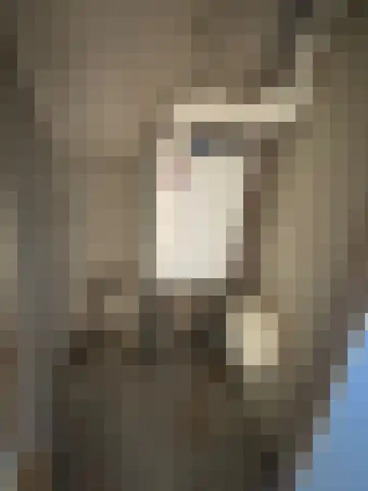 De Helt 2 Tuitjenhorn thumbnail 16