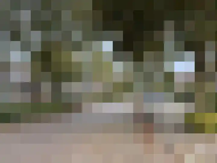 De Helt 2 Tuitjenhorn thumbnail 17