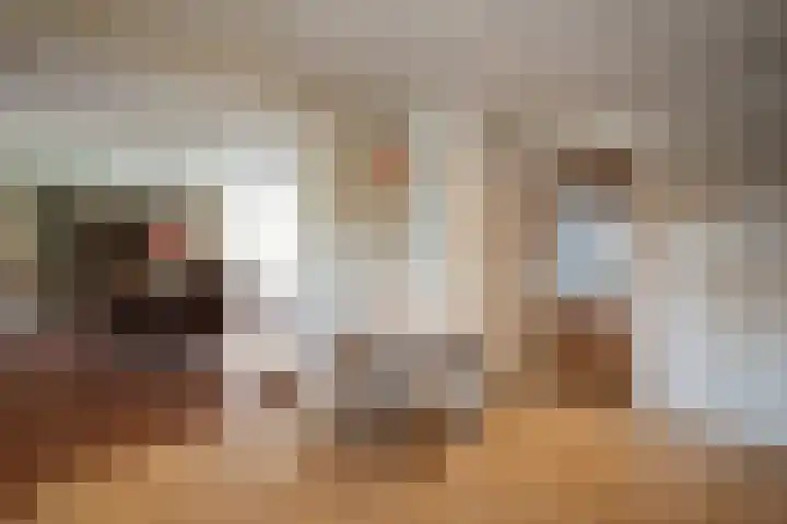 De Helt 7 Tuitjenhorn thumbnail 20