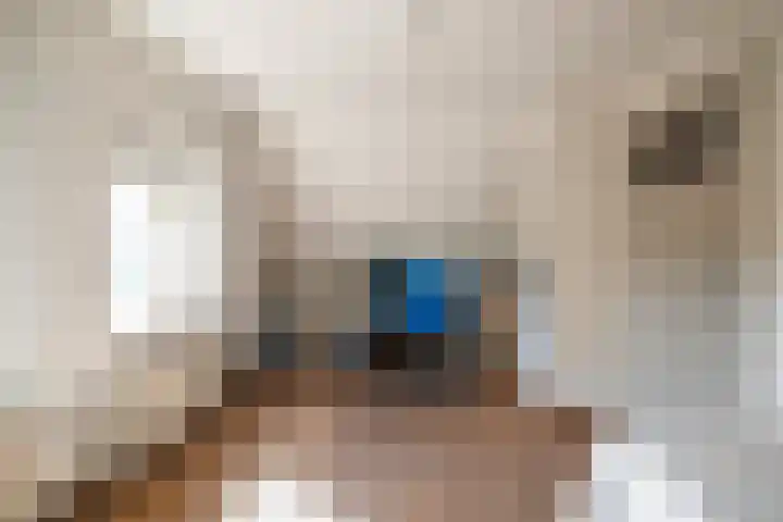 De Helt 7 Tuitjenhorn thumbnail 23