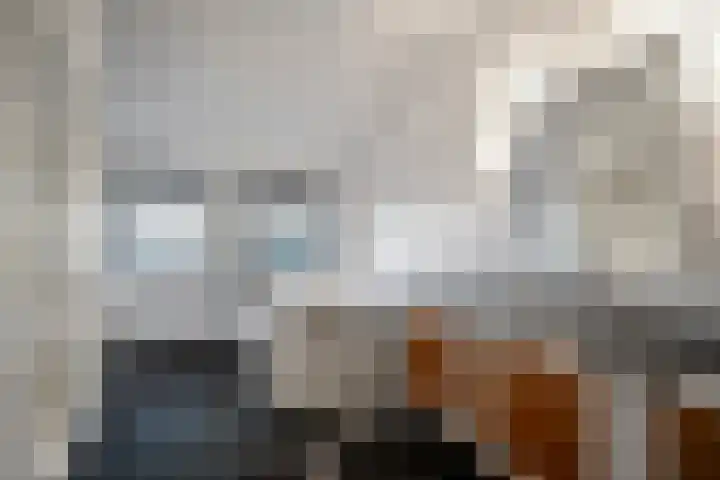 De Helt 7 Tuitjenhorn thumbnail 28