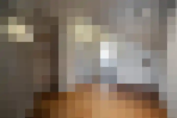 De Helt 7 Tuitjenhorn thumbnail 32