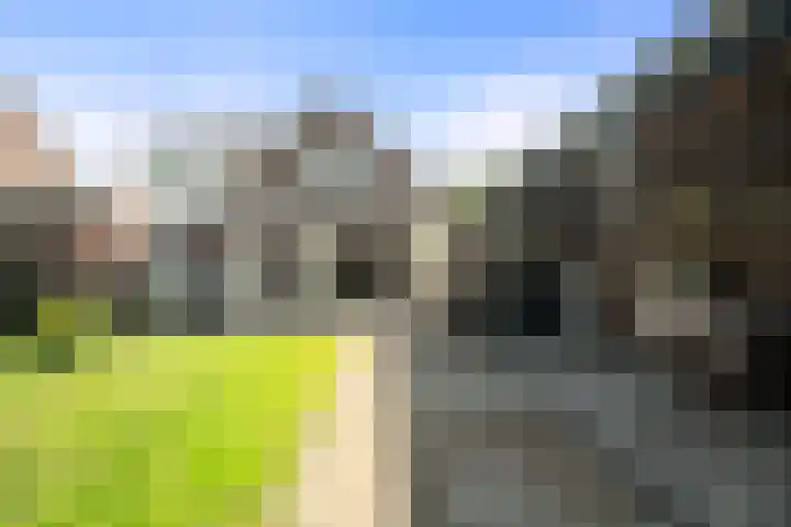 De Helt 7 Tuitjenhorn thumbnail 34