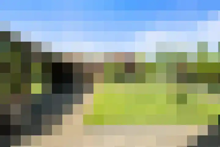 De Helt 7 Tuitjenhorn thumbnail 35