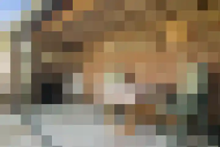 De Helt 7 Tuitjenhorn thumbnail 37