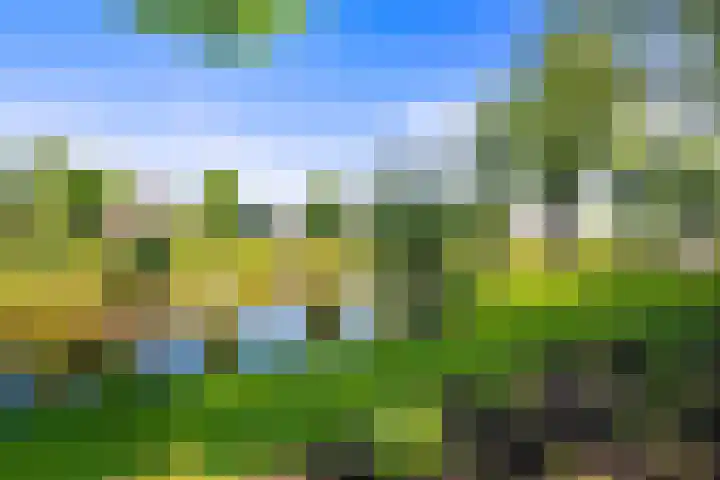 De Helt 7 Tuitjenhorn thumbnail 38