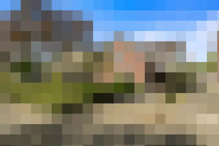 De Helt 7 Tuitjenhorn thumbnail 4