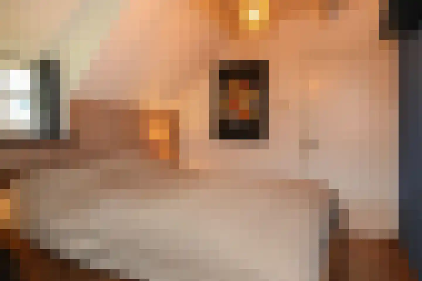 De Hemel 5 Veghel thumbnail 27