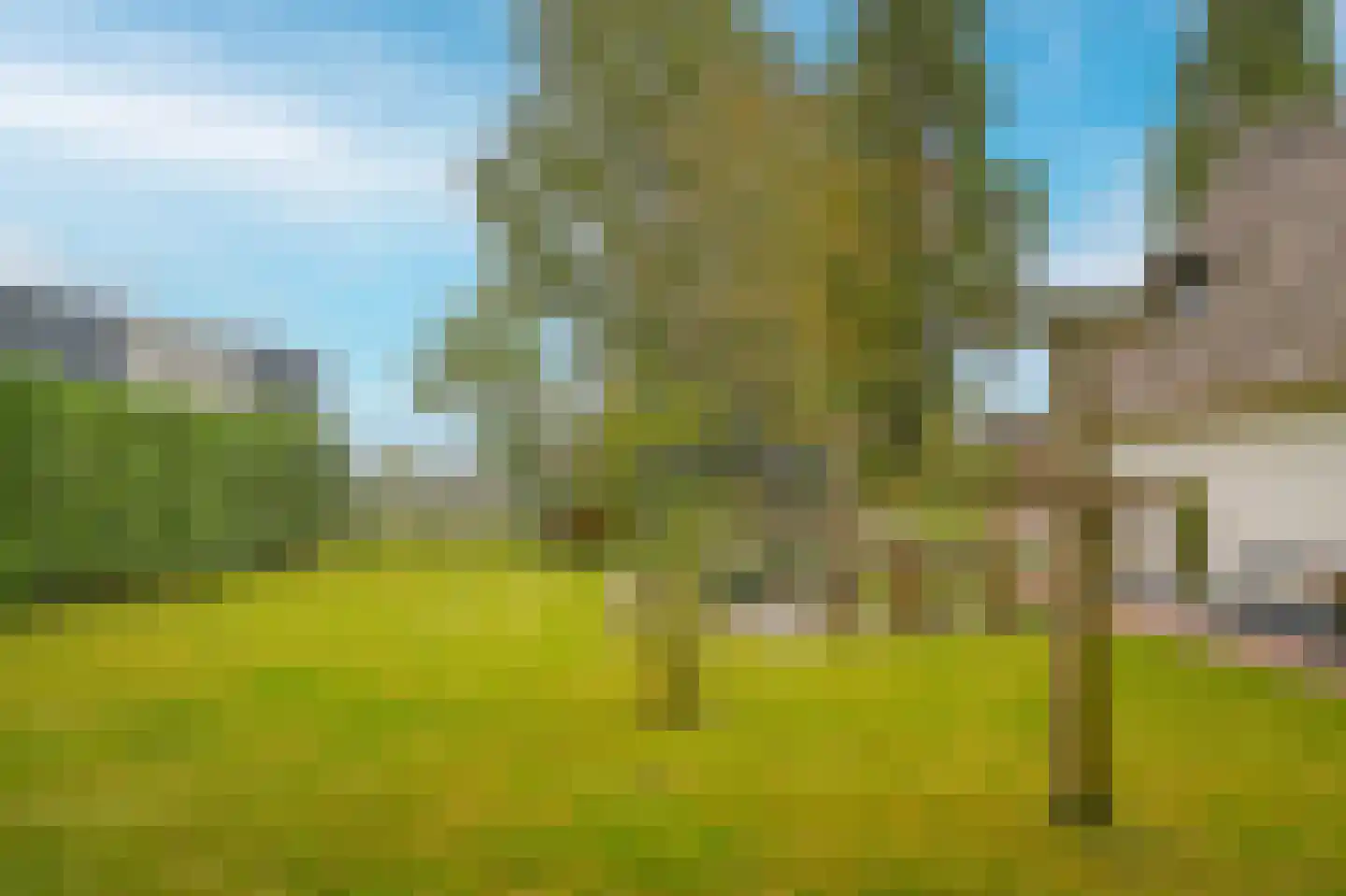 De Hemel 5 Veghel thumbnail 39
