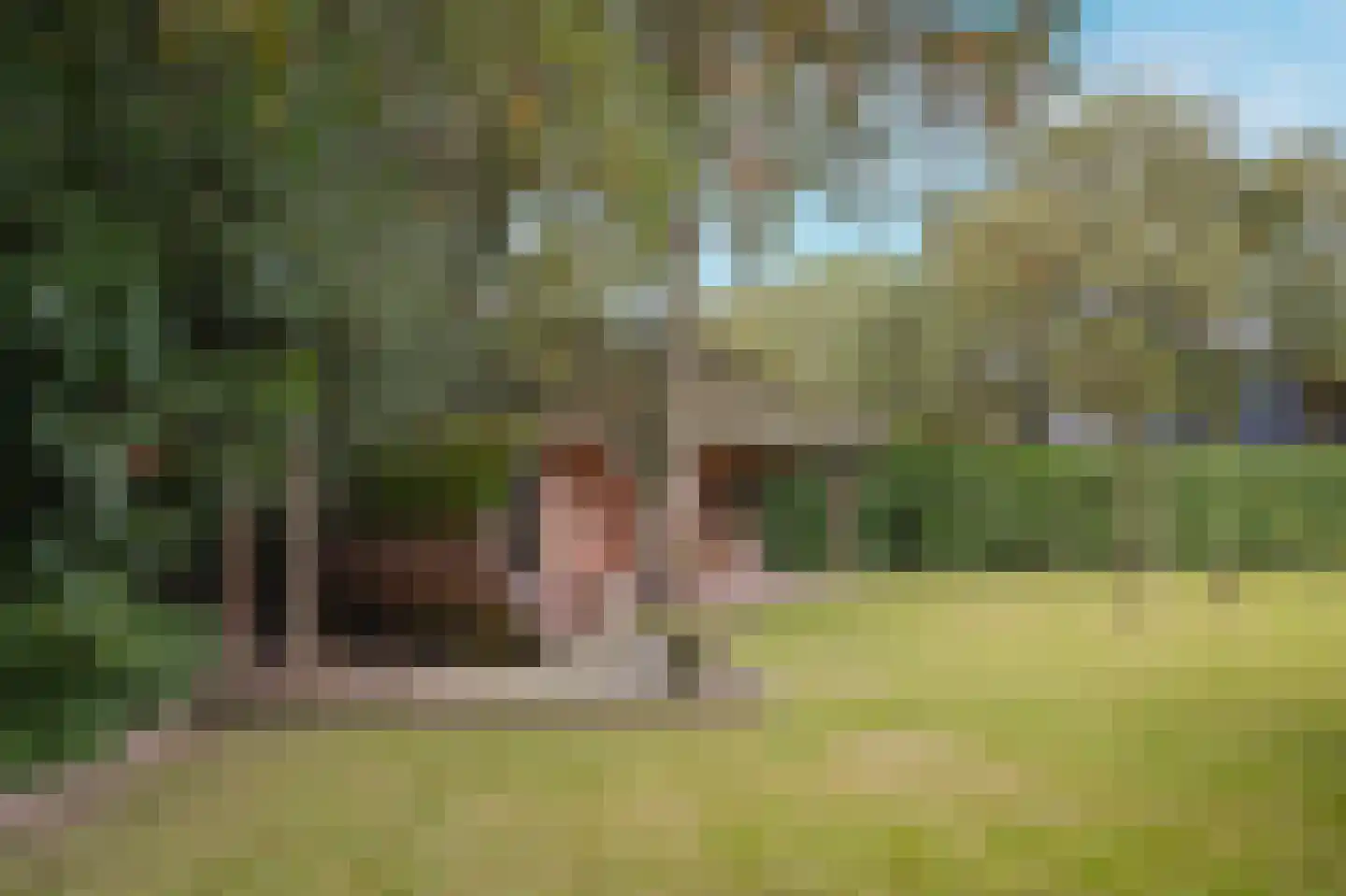 De Hemel 5 Veghel thumbnail 42