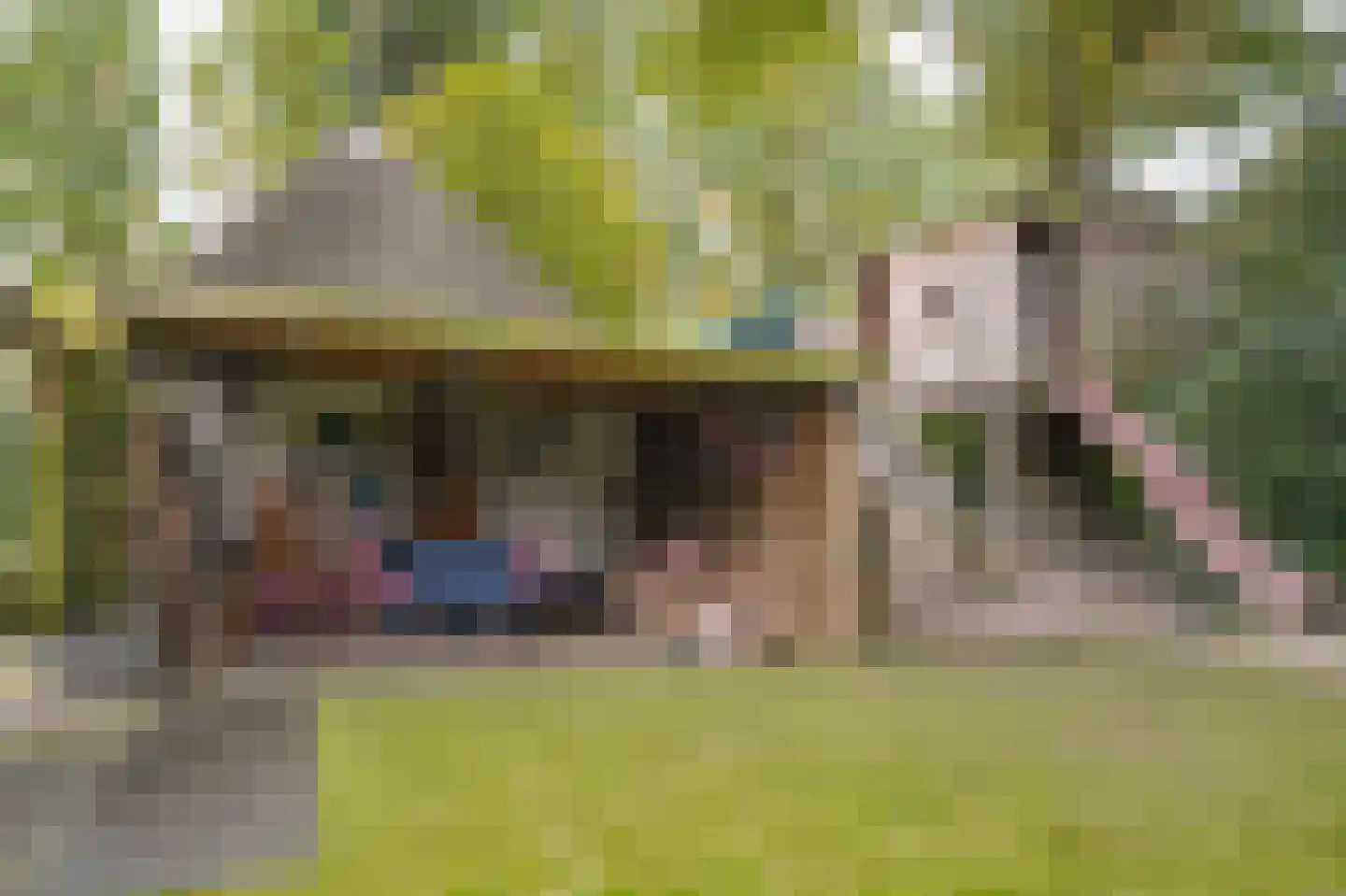 De Hemel 5 Veghel thumbnail 43
