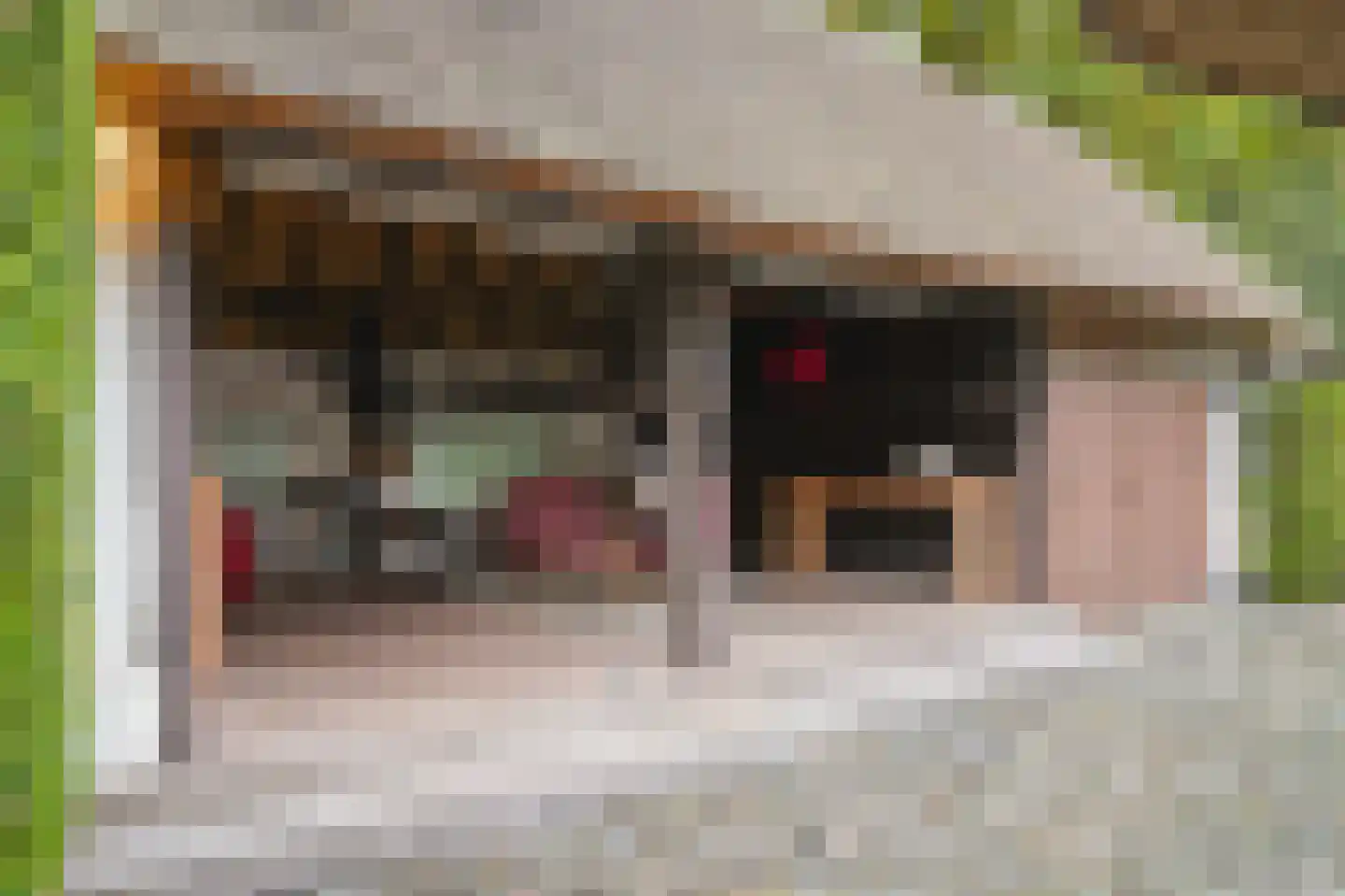 De Hemel 5 Veghel thumbnail 47