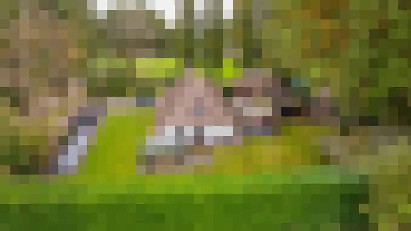 De Hemel 5 Veghel thumbnail 53