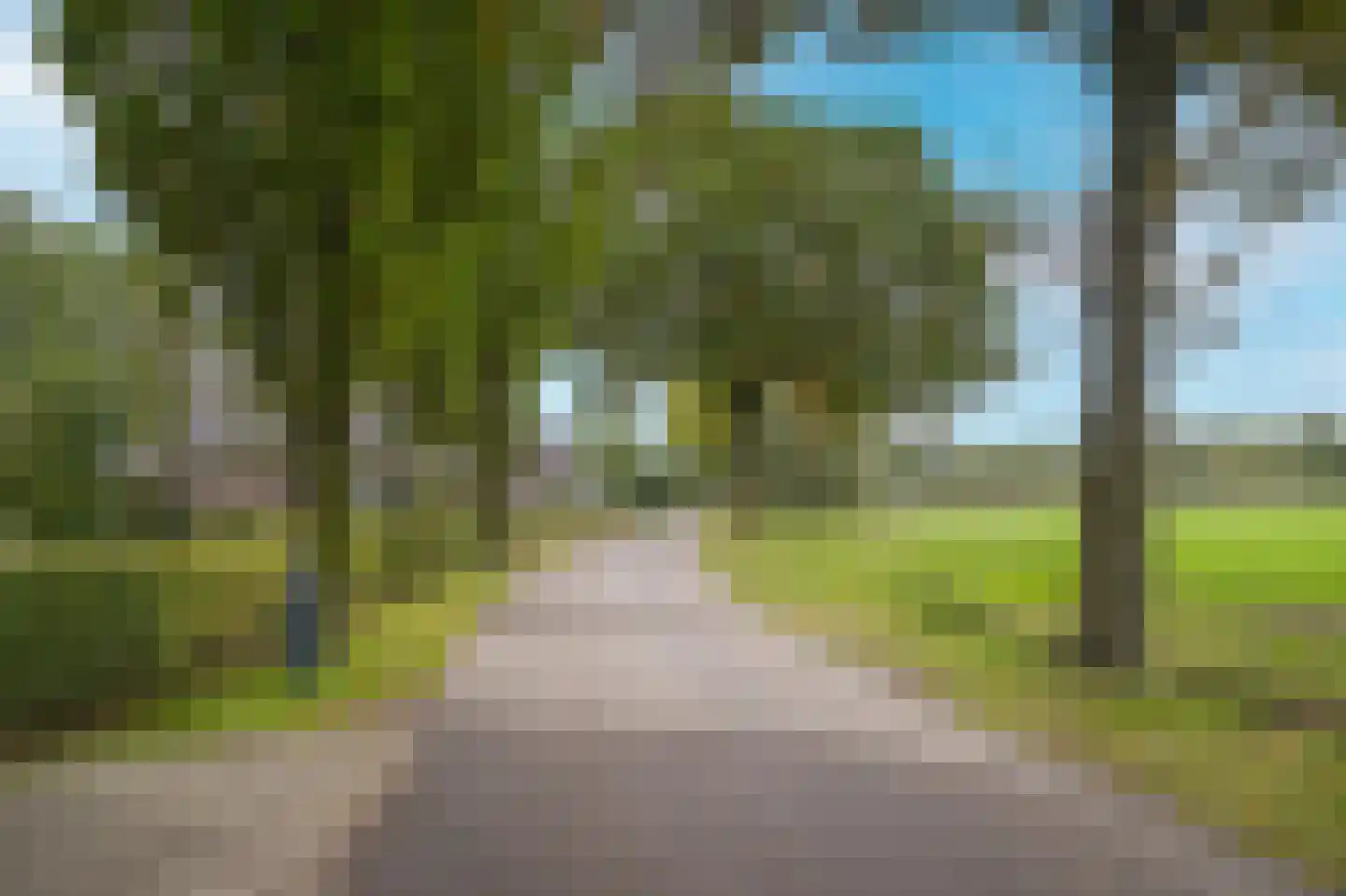 De Hemel 5 Veghel thumbnail 56