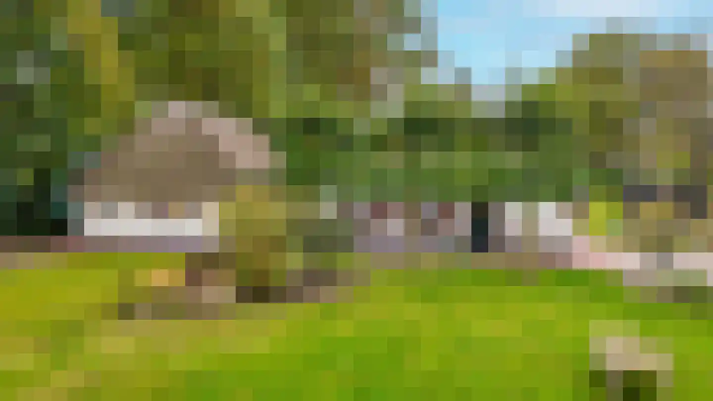 De Hemel 5 Veghel thumbnail 58