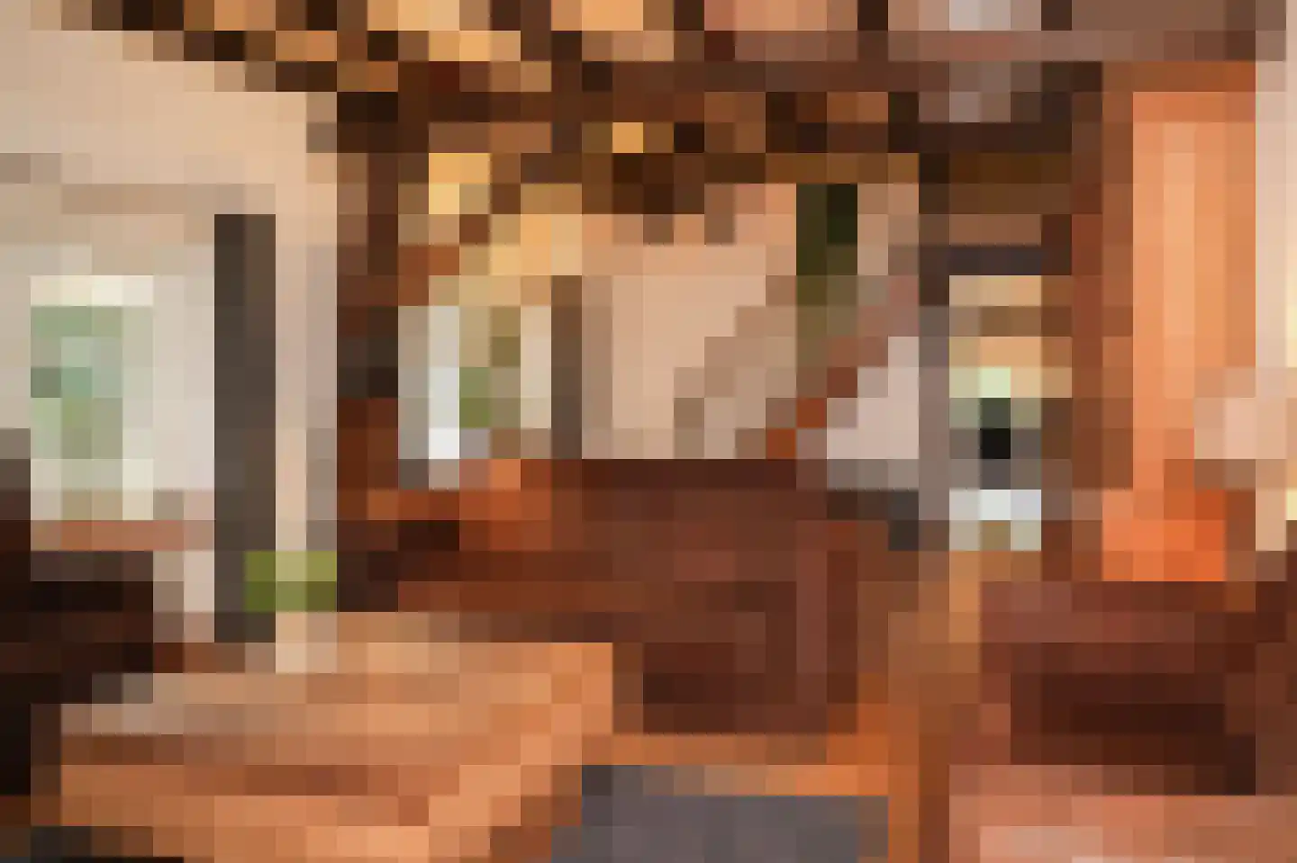 De Hemel 5 Veghel thumbnail 6