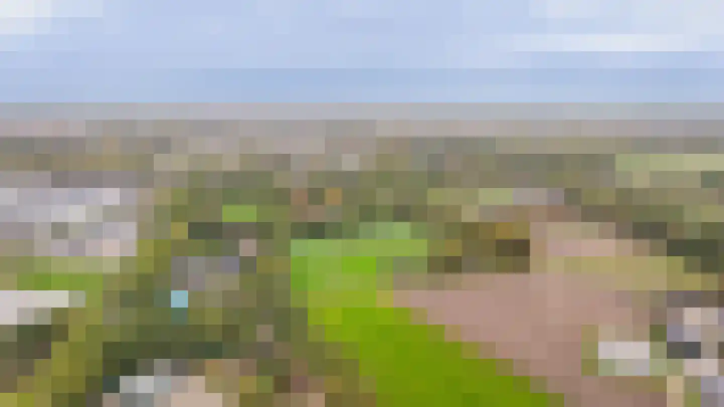 De Hemel 5 Veghel thumbnail 60