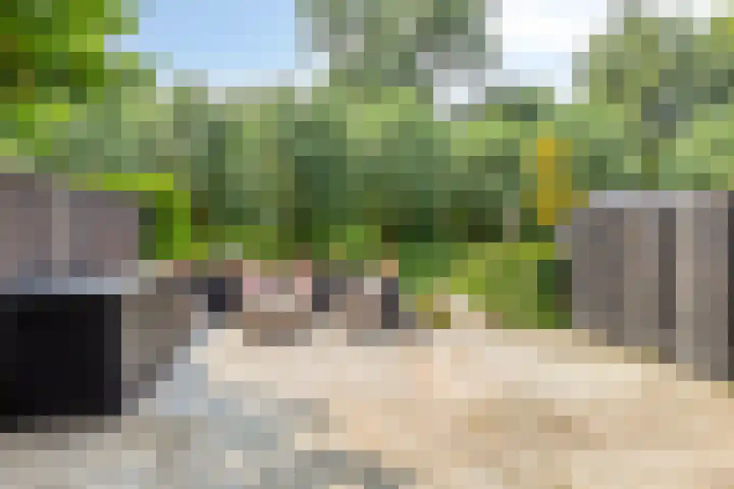 De Hengmolen 16 Westervoort thumbnail 25