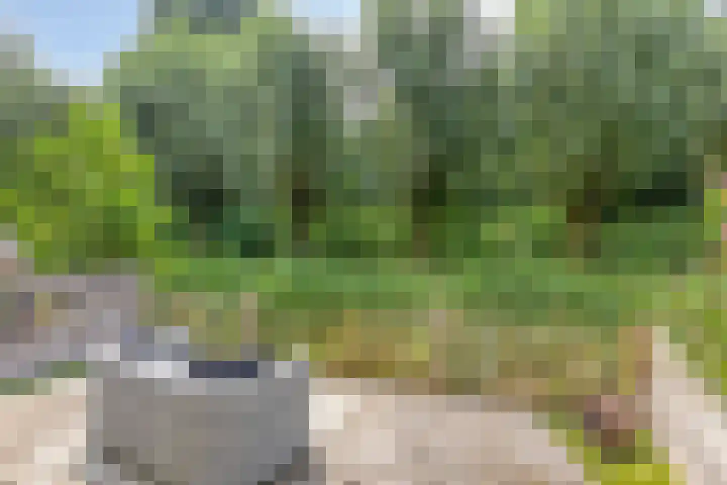 De Hengmolen 16 Westervoort thumbnail 26