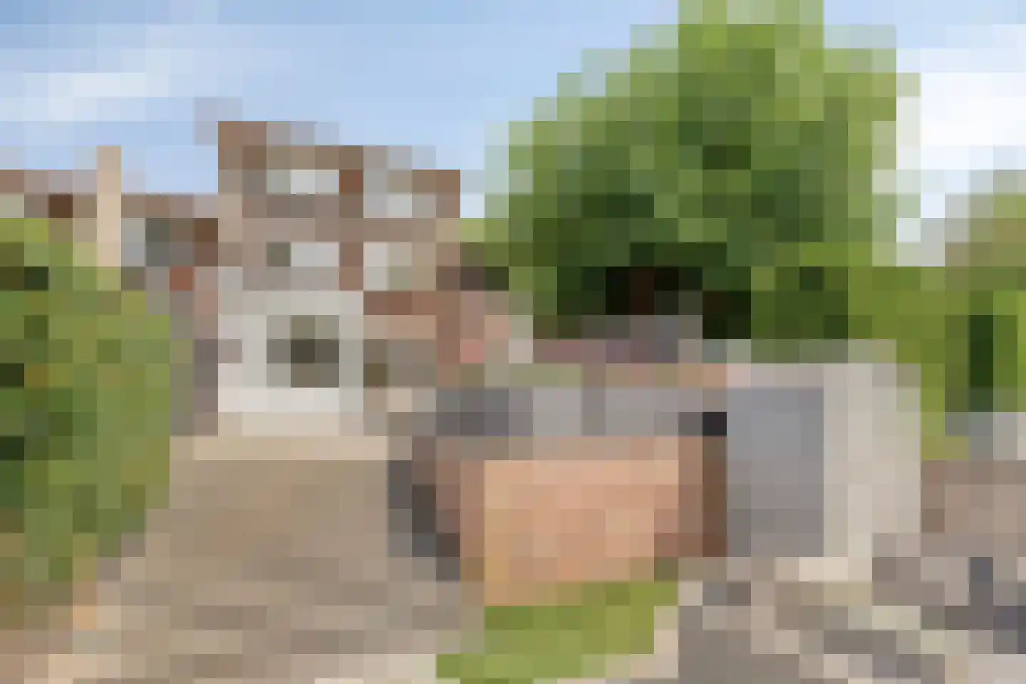 De Hengmolen 16 Westervoort thumbnail 28