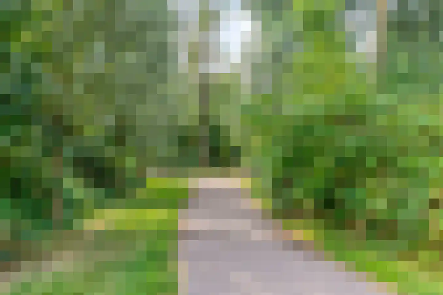 De Hengmolen 16 Westervoort thumbnail 49