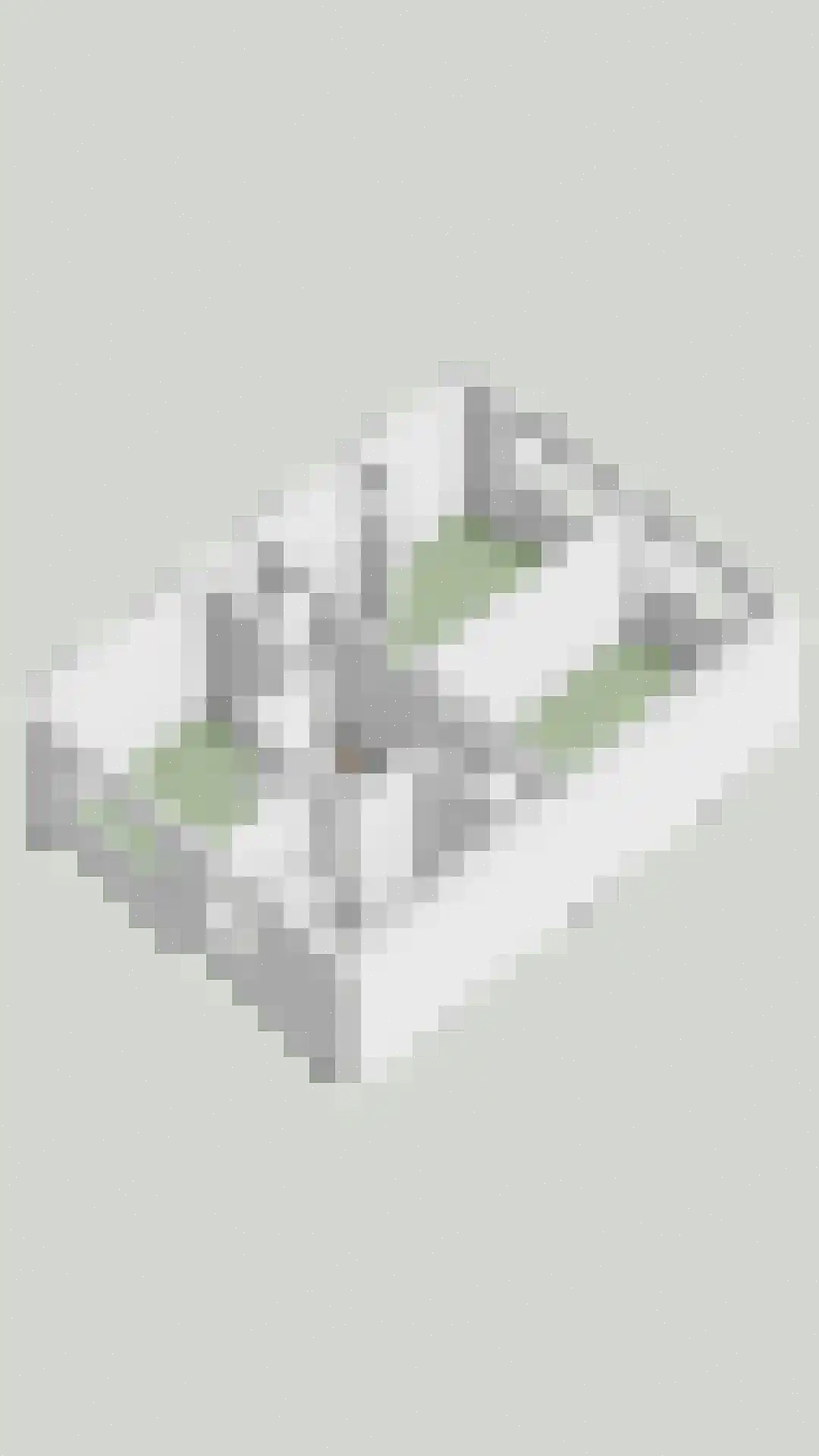 De Hengmolen 16 Westervoort thumbnail 55