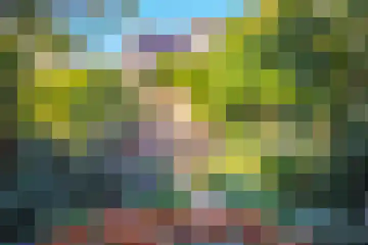 De Hengmolen 6 Westervoort thumbnail 24