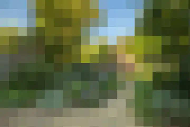 De Hengmolen 6 Westervoort thumbnail 26